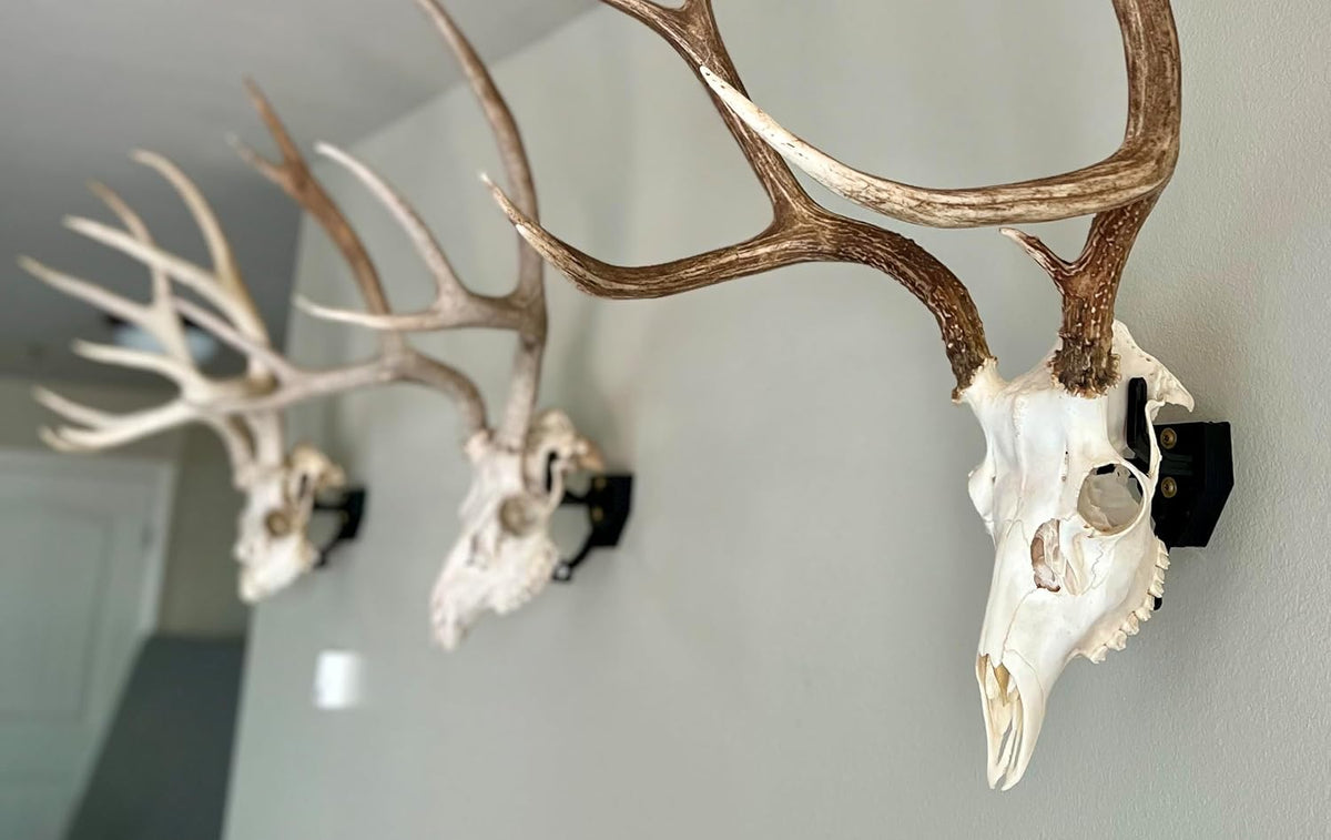 Top Rack Trophy Buck European Skull Mount Hanger, Black