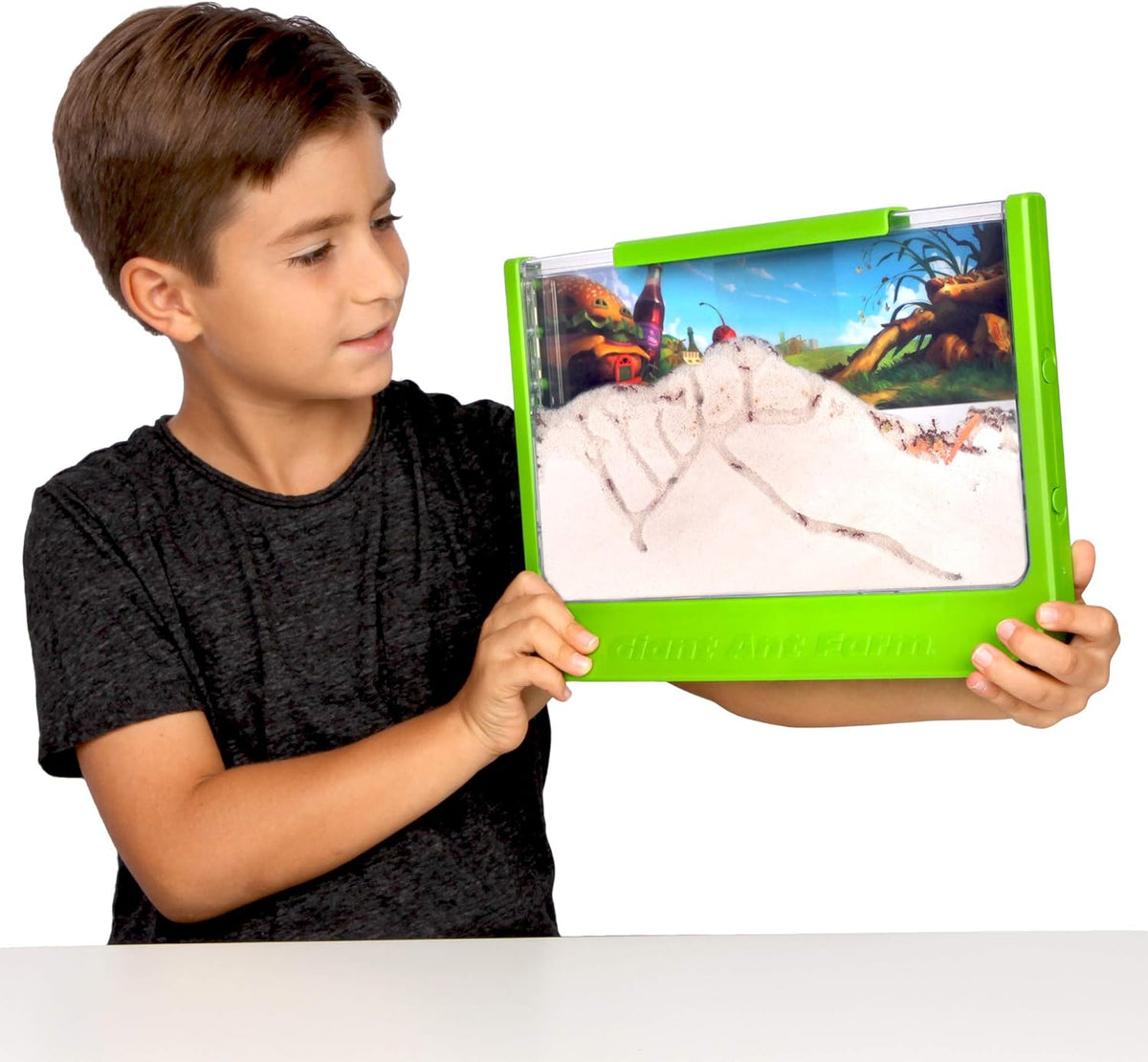 Uncle Milton Giant Ant Farm Habitat, Green