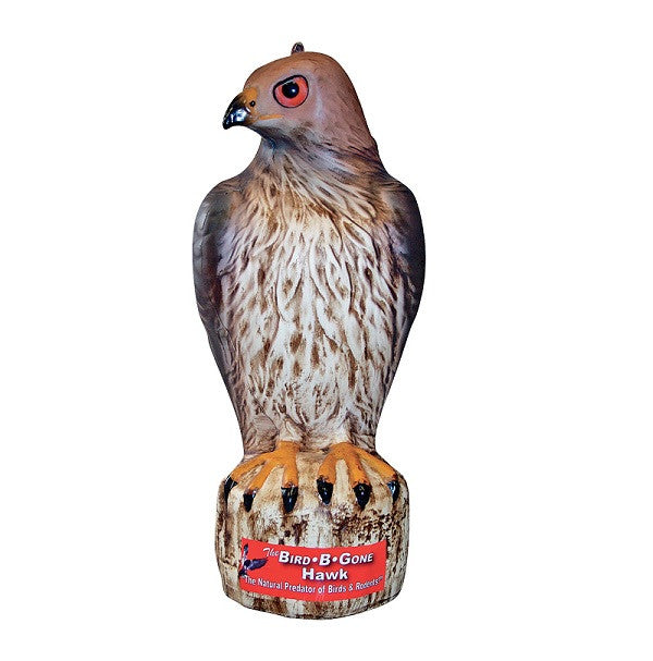 Bird B Gone red-tailed hawk decoy