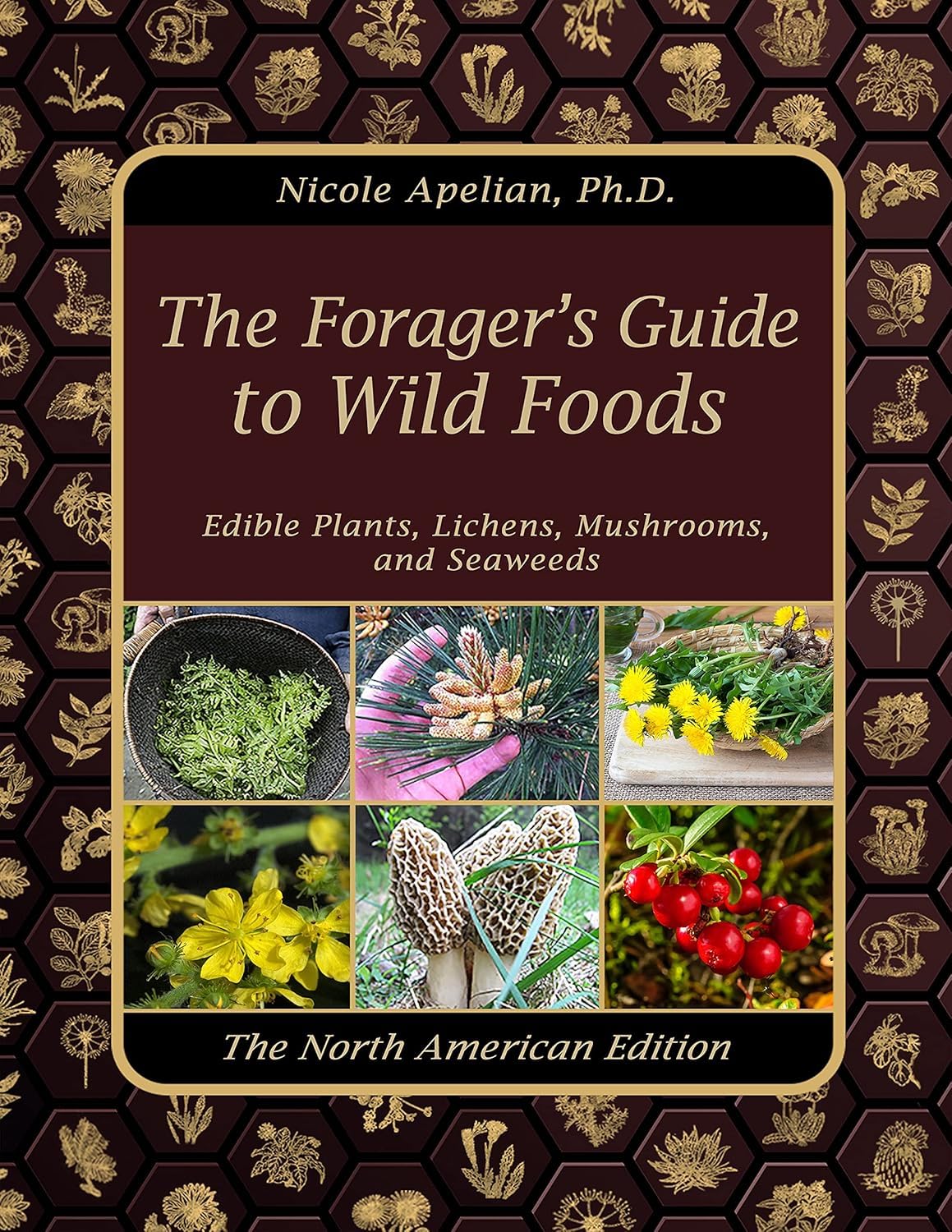 The Forager's Guide to Wild Foods by Nicole Apelian, Paperback