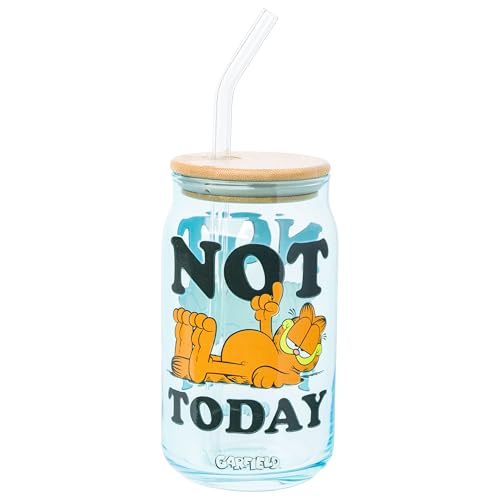 Silver Buffalo Garfield Not Today 16 oz Glass Tumbler w Bamboo Lid and Glass Straw